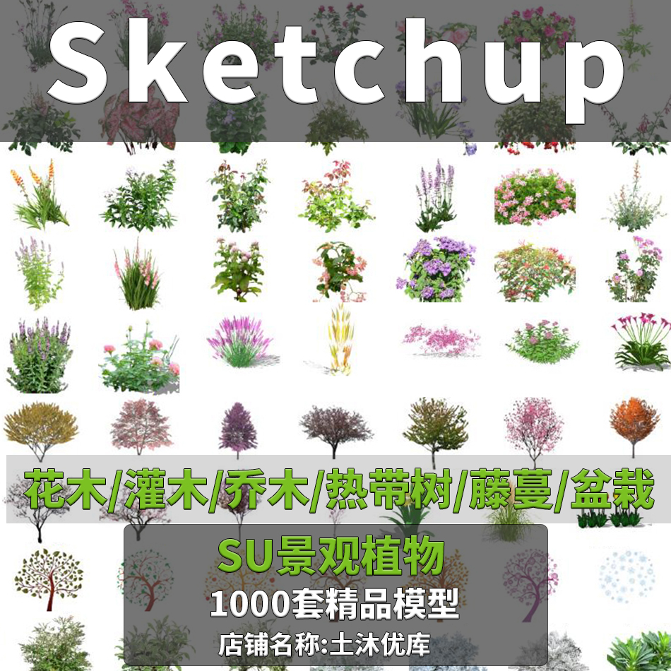 草图大师模型SU园林景观植物花草树木乔木花卉灌木sketchup素材库